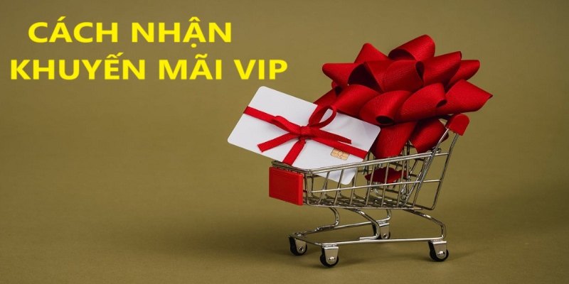 Cách nhận khuyến mãi cho thành viên VIP