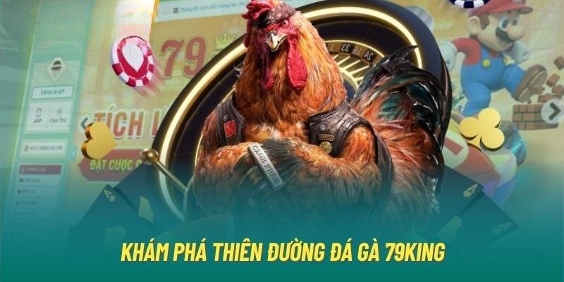 Giới thiệu đá gà 79King