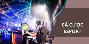 Cá cược esport