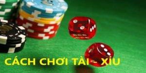 Cách chơi tài xỉu